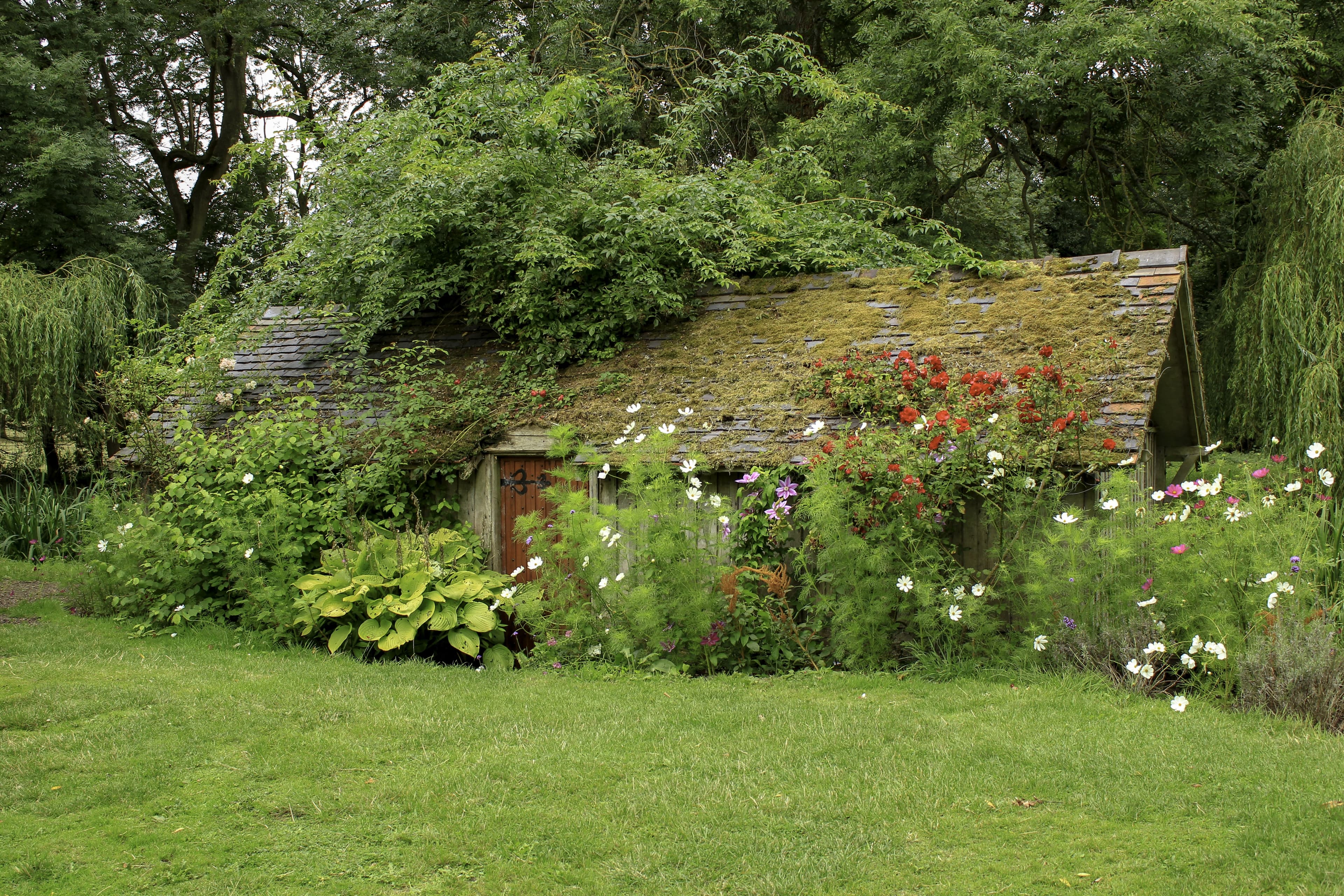 Wooden house on a grassy field